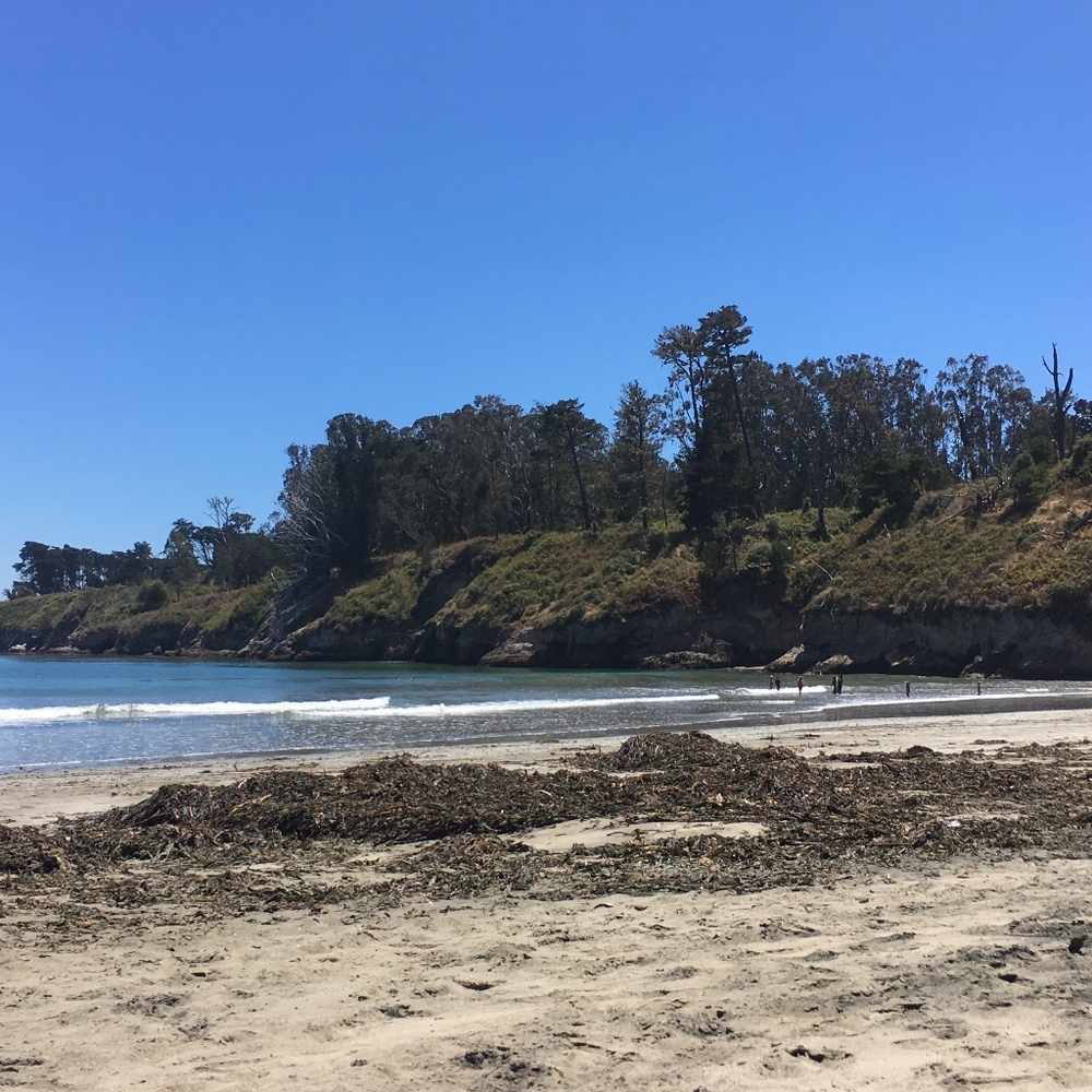 Meet your Posher, Triantafilis